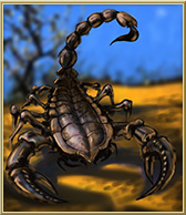 skorpion.jpg